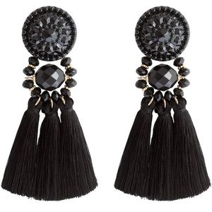 Tassel Drop Earrings